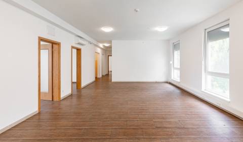 Office premises in family house 148m2, 1st floor, 4x parking