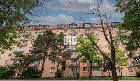 Sale Two bedroom apartment, Two bedroom apartment, Bratislava - Ružino