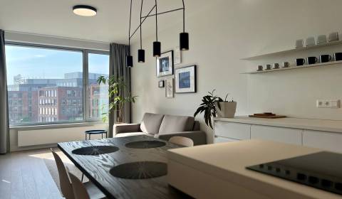 Rent One bedroom apartment, One bedroom apartment, Továrenská, Bratisl