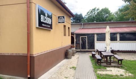 Rent Commercial premises, Commercial premises, Kostolianska cesta, Koš