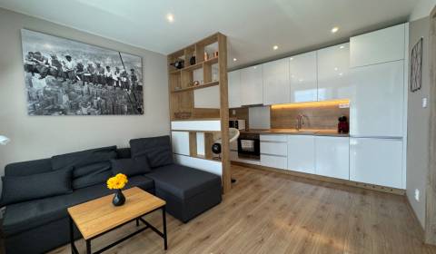 Rent One bedroom apartment, One bedroom apartment, Palárikova, Košice 