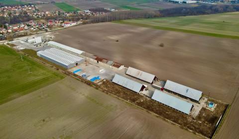 Sale Storehouses and Workshops, Storehouses and Workshops, Hlavná, Dun