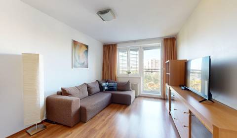 Cozy and sunny 1 bedroom apartment in location Kramáre