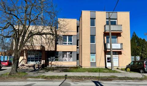 Rent Commercial premises, Commercial premises, Hviezdoslavova, Michalo