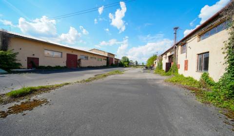Sale Storehouses and Workshops, Storehouses and Workshops, Trebišov, S