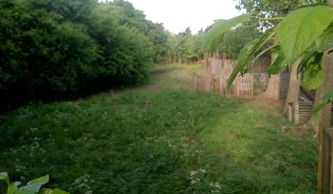 Sale Land – for living, Land – for living, Kocurice, Piešťany, Slovaki