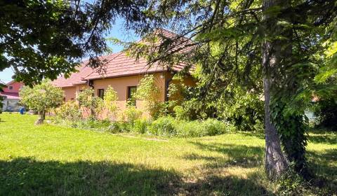 Sale Family house, Family house, Myjavská, Zlaté Moravce, Slovakia