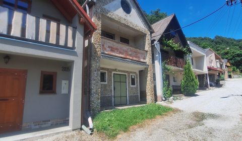 Sale Cottage, Cottage, Levice, Slovakia