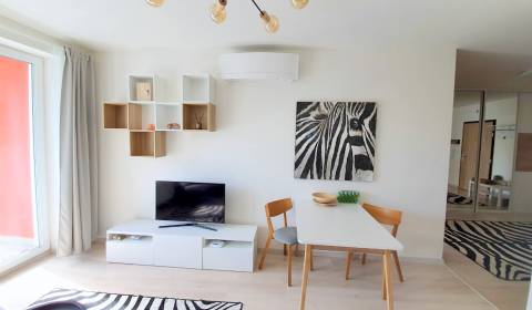 Rent One bedroom apartment, One bedroom apartment, Lužná, Bratislava -