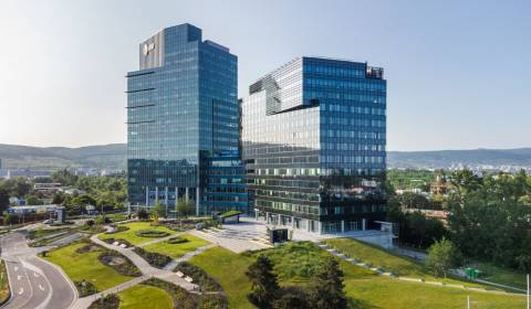 Rent Offices, Offices, Tomášikova, Bratislava - Nové Mesto, Slovakia