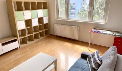 Rent One bedroom apartment, One bedroom apartment, Romanova, Bratislav