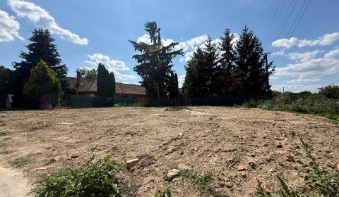 Sale Land – for living, Land – for living, Zlaté Moravce, Slovakia