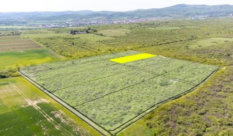 Sale Land – for living, Land – for living, Dolná, Pezinok, Slovakia