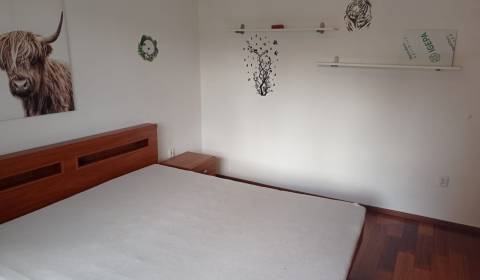 Rent One bedroom apartment, One bedroom apartment, Zápotockého 9, Preš