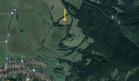 Sale Agrarian and forest land, Agrarian and forest land, Malacky, Slov