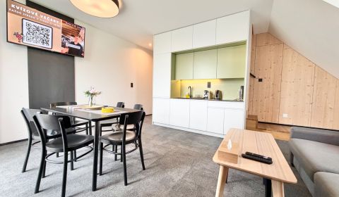Luxurious Duplex with Private Hot Tub in Demänová Village