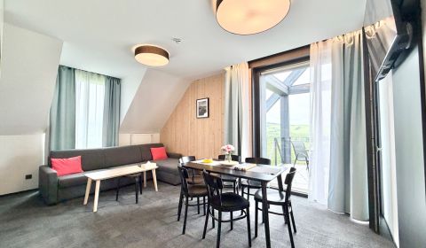 Luxurious Duplex with Private Hot Tub in Demänová Village
