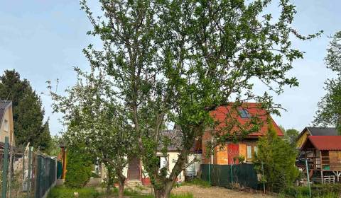 Sale Cottage, Cottage, Nové Zámky, Slovakia