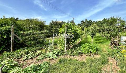 Sale Recreational land, Levice, Slovakia