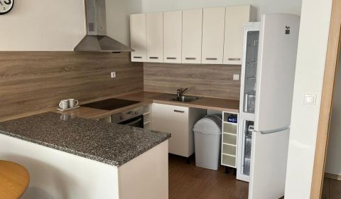 Rent One bedroom apartment, One bedroom apartment, Clementisove sady, 