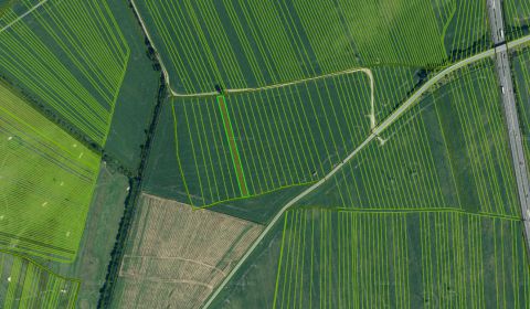 Sale Agrarian and forest land, Agrarian and forest land, Malacky, Slov