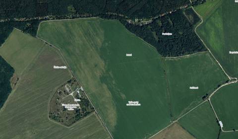 Sale Agrarian and forest land, Agrarian and forest land, Malacky, Slov