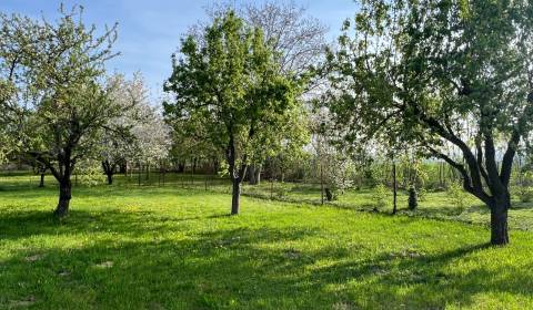 Sale Land – for living, Land – for living, Kocurice, Piešťany, Slovaki