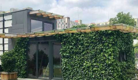 Rent Family house, Family house, Korytnická, Bratislava - Podunajské B