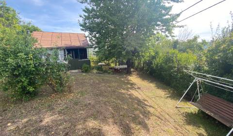 FOR SALE Cottage with a beautiful vineyard, Hrušov, Slovakia