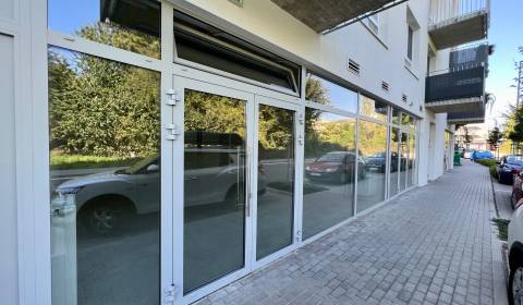 Rent Commercial premises, Commercial premises, Odevná, Trenčín, Slovak