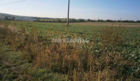 Sale Land – for living, Land – for living, Rumanová, Nitra, Slovakia