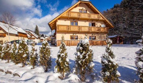 Sale Holiday apartment, Holiday apartment, Tále, Brezno, Slovakia