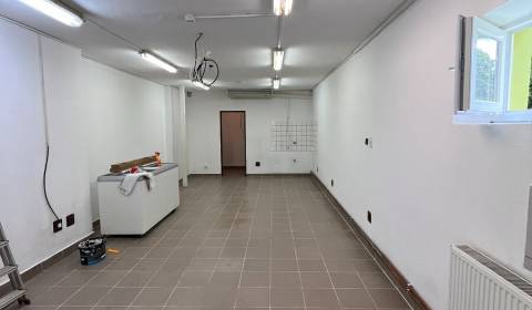 Rent Commercial premises, Commercial premises, Záhradná, Čadca, Slovak