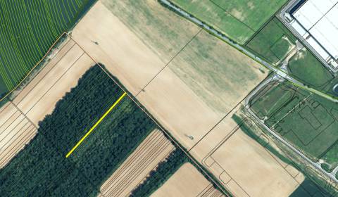 Sale Agrarian and forest land, Agrarian and forest land, Senec, Slovak