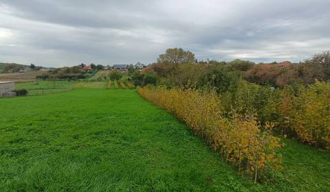 Sale Land – for living, Land – for living, Tichá, Nitra, Slovakia