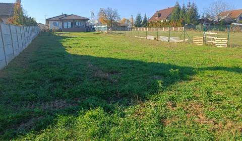 Sale Land – for living, Land – for living, Veľké Bedzany, Topoľčany, S