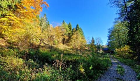 Sale Recreational land, Recreational land, Krpáčovo, Brezno, Slovakia