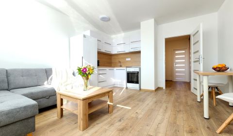 Rent One bedroom apartment, One bedroom apartment, Prostějovská, Prešo