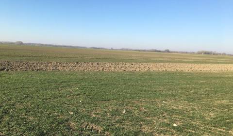 Sale Agrarian and forest land, Agrarian and forest land, Galanta, Slov