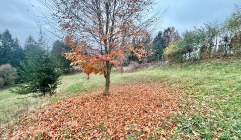 Sale Land – for living, Land – for living, Priečnica, Čadca, Slovakia