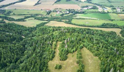 Sale Agrarian and forest land, Agrarian and forest land, Brezno, Slova