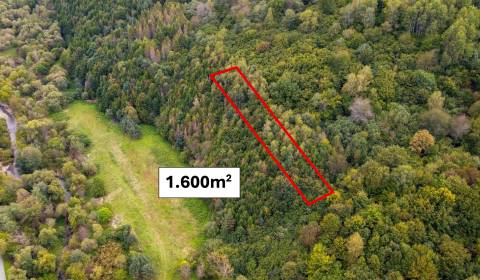 Sale Agrarian and forest land, Agrarian and forest land, Snina, Slovak