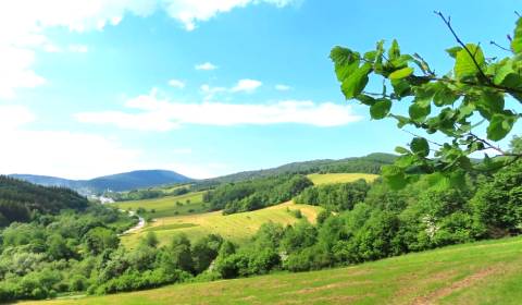 Sale Agrarian and forest land, Agrarian and forest land, Medzilaborce,