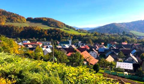 Sale Agrarian and forest land, Agrarian and forest land, Dolný Kubín, 