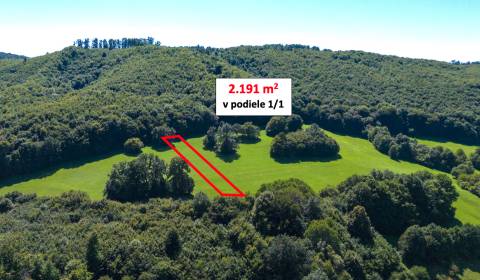 Sale Agrarian and forest land, Agrarian and forest land, Trenčín, Slov