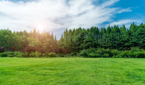 Sale Agrarian and forest land, Agrarian and forest land, Veľký Krtíš, 