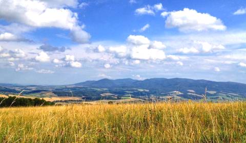 Sale Agrarian and forest land, Agrarian and forest land, Prešov, Slova