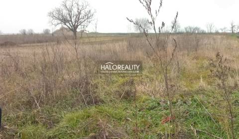 Sale Land – for living, Piešťany, Slovakia