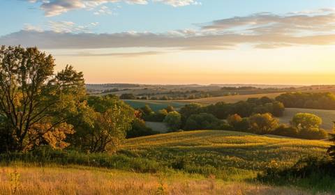 Sale Agrarian and forest land, Agrarian and forest land, Turany, Marti