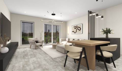 Sale Family house, Family house, Vydrany, Dunajská Streda, Slovakia